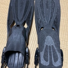 フィンの画像
