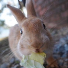 何でも話せる気楽な女友達が欲しい😌🫶
