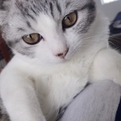 生後7ヶ月の3姉妹です。