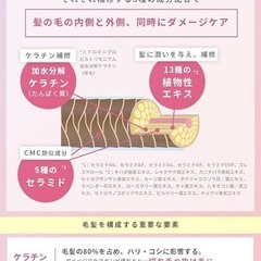 ruban ヘアミルク 洗い流さないトリートメント ヘアトリートメントの画像