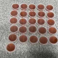 昆虫用ゼリー　黒糖の画像