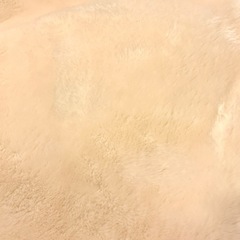 新品未使用　絨毯　ラグ　起毛　暖かい　の画像