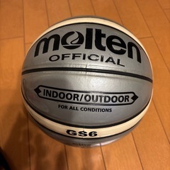 バスケットボール　ケース付きの画像