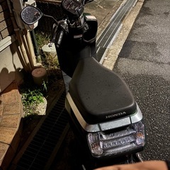 ホンダ　DUNK. ダンク　低走行　バイク　原付の画像