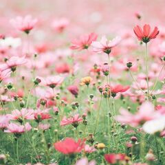 寝る前にひと笑い、がルール。