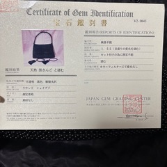 黒珊瑚バックの画像