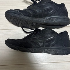 Mizuno スニーカー　メッシュ　ミズノ　ランニング　ウォーキング　22.5cm レディースの画像