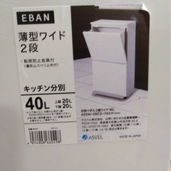 薄型ワイド2段キッチン分別ゴミ箱の画像
