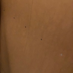IKEA本棚の画像