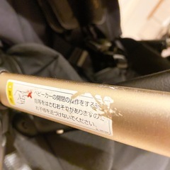 2024年購入、nunaイクサリベテットローズの画像