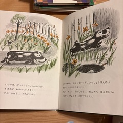 どろんこハリー　絵本の画像