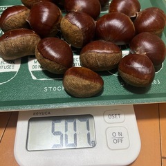 今回で最終！③揖斐川町の生栗の画像