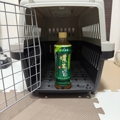 ペットキャリーの画像