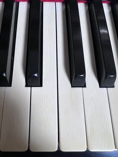 フローラピアノ象牙鍵盤黒色 フローラピアノ象牙鍵盤黒色 (たっちゃん) 御陵の鍵盤楽器、ピアノの