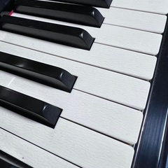 フローラピアノ象牙鍵盤黒色の画像