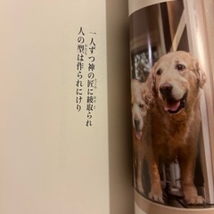 犬の本の画像