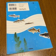 川魚の飼育と採集を楽しむための本の画像