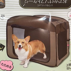ペット、ソフトゲージの画像