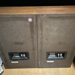 DIATONE  スピーカー  DS-251MK IIの画像