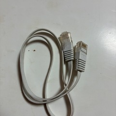 無料の画像