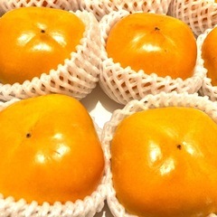 【お取引中】和歌山県産　種無し柿12個の画像