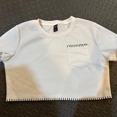 半袖Tシャツ レディースの画像