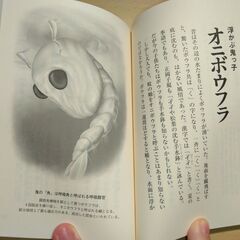 『またまたへんないきもの』早川いくを　幻冬舎文庫の画像