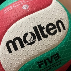 急募！本日バレーボールできる方募集！