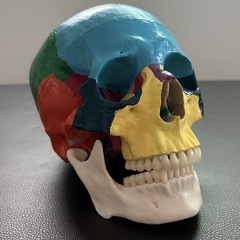 施術ベッド他の画像