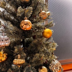 クリスマスツリーの画像