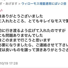 ウィローモス増量中（今年分は後２セット）の画像