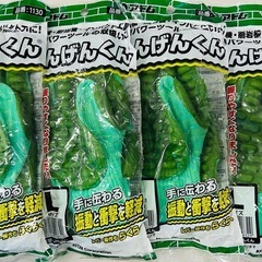 振動軽減手袋しんげんくんＬサイズの画像