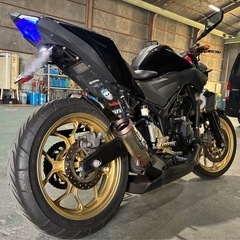 YZF-R25 ネイキッド仕様  の画像