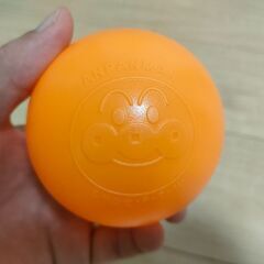 受け渡し決定【日にち限定割引あり】アンパンマン ジャングルパークの画像