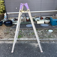 🌸５段脚立君🌸の画像