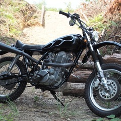SR400 フルカスタム　ブラットスタイルの画像