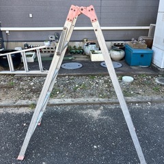 🌸５段脚立さん🌸決まりました🌸の画像