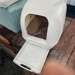 猫のトイレの画像