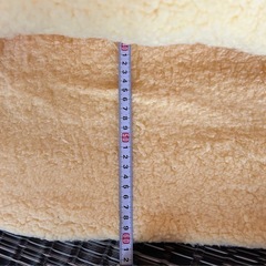 猫用品×3点の画像
