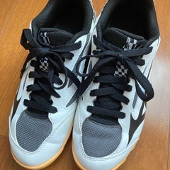 ミズノ　卓球シューズ　24センチの画像