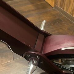 【極美品】BLAZE SMART EV ワインレッド 特定原付 自賠責4年残り／名古屋市内直接取引限定の画像