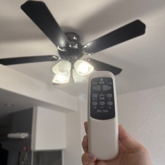 シーリングファン LED電球付きの画像