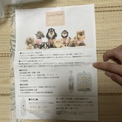 ★未使用★ ペット用 詰め替え2000ml 5つセット Lulu Fam ファム アルコール不使用 弱酸性 動物詰め替え 次亜塩素酸 花粉対策 無害 の画像