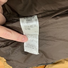 プティマイン　ダウン　110の画像