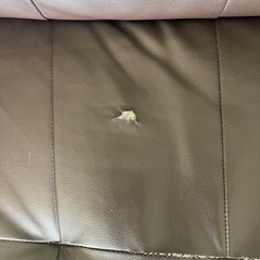 ソファー
の画像