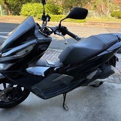 ホンダ PCX125 JF81の画像