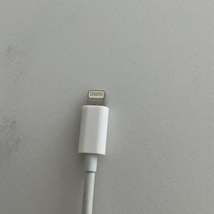 lightningカード
リーダの画像