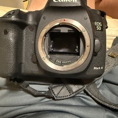 EOS 5D mark IIIとストロボの画像