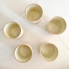 【ネット決済・配送】  たち吉　ビンテージ　乾山写　湯呑み　5個セット　橘吉　Tachikichi 未使用　美品　箱入り 湯飲み　湯のみ　ゆのみ　ユノミ　タチキチの画像