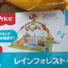 レインフォレスト・デラックスジムの画像